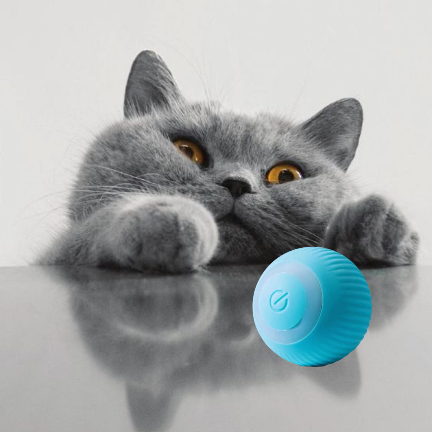 NEW Cat Toy Ball